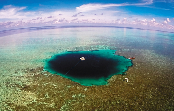 ����y�L���c