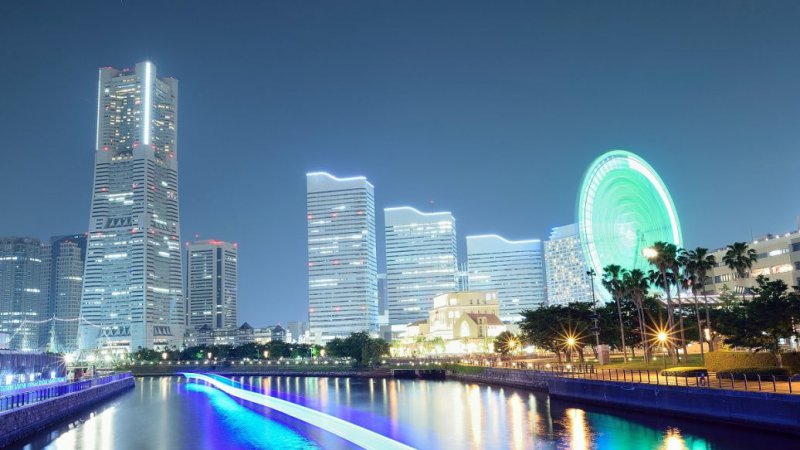 ʲô���ǻ۳�������ʲô���c��